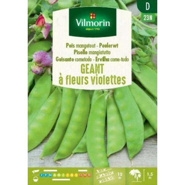 Peulerwt Geant à Fleurs Violettes 1 Peulerwt Geant à Fleurs Violettes