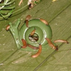 ESSCHERT DESIGN Slakkenval Keramiek - Groen 5 ESSCHERT DESIGN Slakkenval Keramiek - Groen -Aanbiedingen Groente Zaden Winkel actie super slakkenval 1484052737 1 600