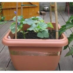 Anti-slakken Kopertape 4 M 8 Anti-slakken Kopertape 4 M -Aanbiedingen Groente Zaden Winkel antislakken kopertape 1484052941 3 600