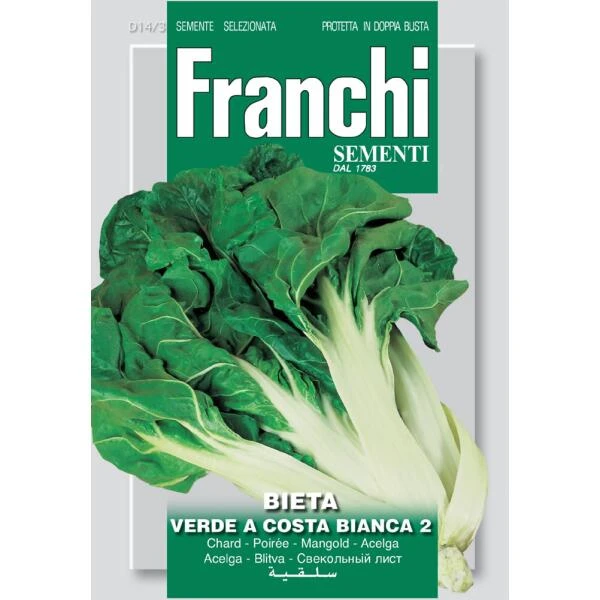 Bietola Verde A Costa Bianca 2 - Groene Snijbiet 1 Bietola Verde A Costa Bianca 2 - Groene Snijbiet