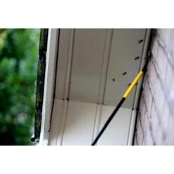 Telescopische Lans XL 8D - Birchmeier -Aanbiedingen Groente Zaden Winkel birchmeier lans xl 8d 1484057152 3 600