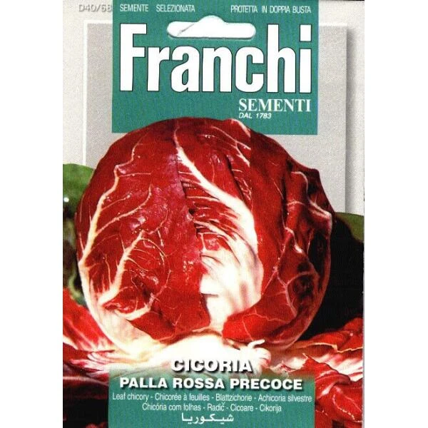 Cicoria Palla Rossa Precoce - Roodlof 1 Cicoria Palla Rossa Precoce - Roodlof