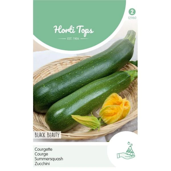 Courgette Black Beauty - Cucurbita Pepo 1 Courgette Black Beauty - Cucurbita Pepo