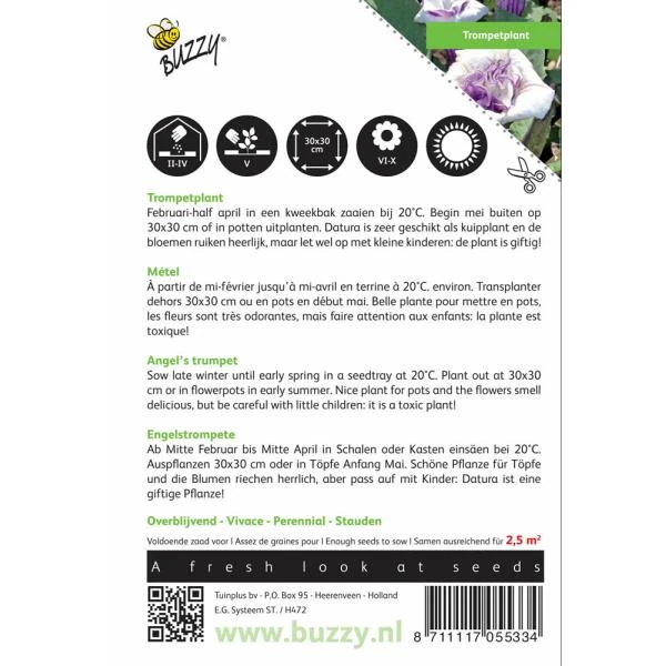 Doornappel - Datura Metel 2 Doornappel - Datura Metel - Afbeelding 2