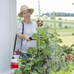 Druksproeier Birchmeier Garden Star 5 Liter -Aanbiedingen Groente Zaden Winkel garden star 5 liter 1493035319 2 600