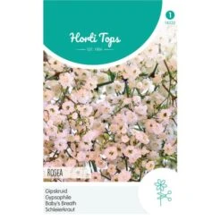 Gipskruid Rosea - Gypsophila Elegans