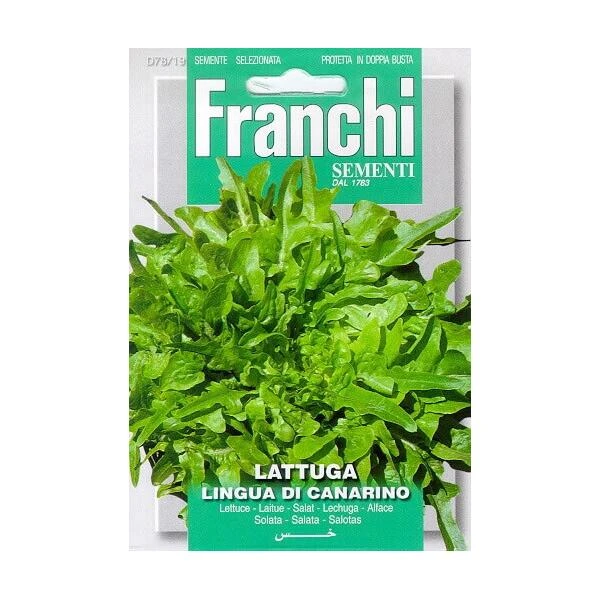 Lattuga Lingua Di Canarino - Kropsla Kleinbladig 1 Lattuga Lingua Di Canarino - Kropsla Kleinbladig