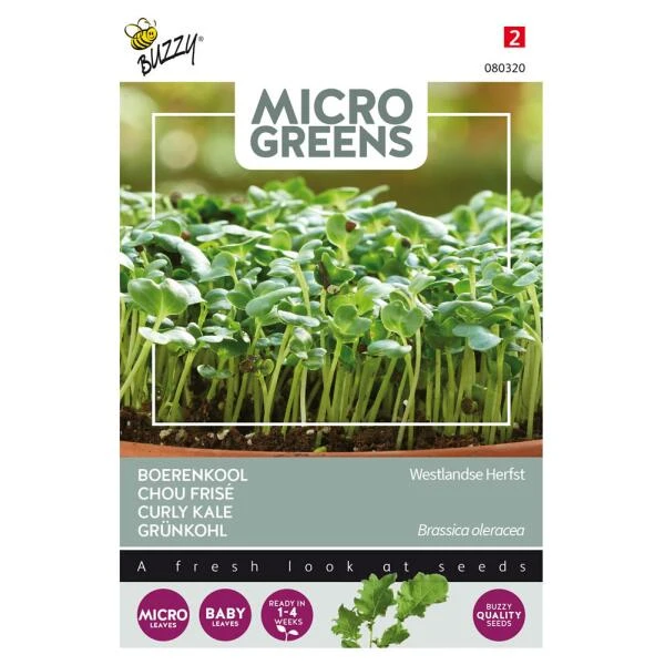 Microgreens Boerenkool Westlandse Herfst 1 Microgreens Boerenkool Westlandse Herfst