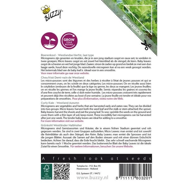 Microgreens Boerenkool Westlandse Herfst 2 Microgreens Boerenkool Westlandse Herfst - Afbeelding 2