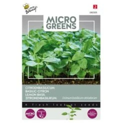 Microgreens Citroenbasilicum