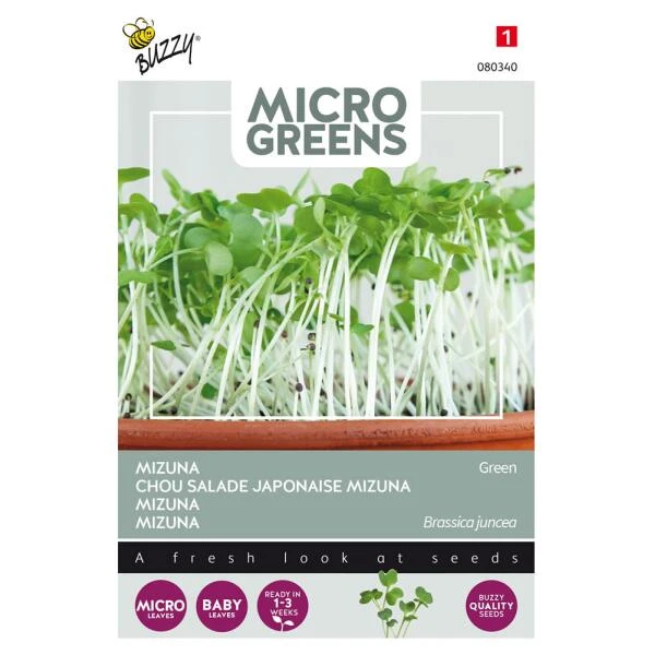 Microgreens Mizuna Green 1 Microgreens Mizuna Green