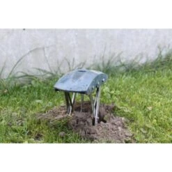 Mollenklem - Innovatief En Robuust 7 Mollenklem - Innovatief En Robuust -Aanbiedingen Groente Zaden Winkel mollenklem mollenijzer 1484062617 4 600