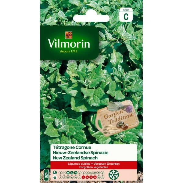 Nieuw Zeelandse Spinazie 1 Nieuw Zeelandse Spinazie