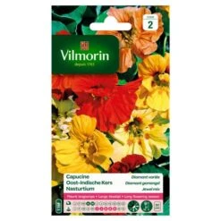 Oost-Indische Kers Diamant Gemengd