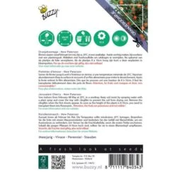 Aanbiedingen Groente Zaden Winkel -Aanbiedingen Groente Zaden Winkel oranjeboompje solanum pseudocapsicum 1646840377 1425 600