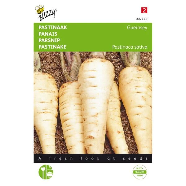 Pastinaak Demi-Long De Guernsey 1 Pastinaak Demi-Long De Guernsey