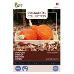 Pompoen Kalebas Golden Hubbard