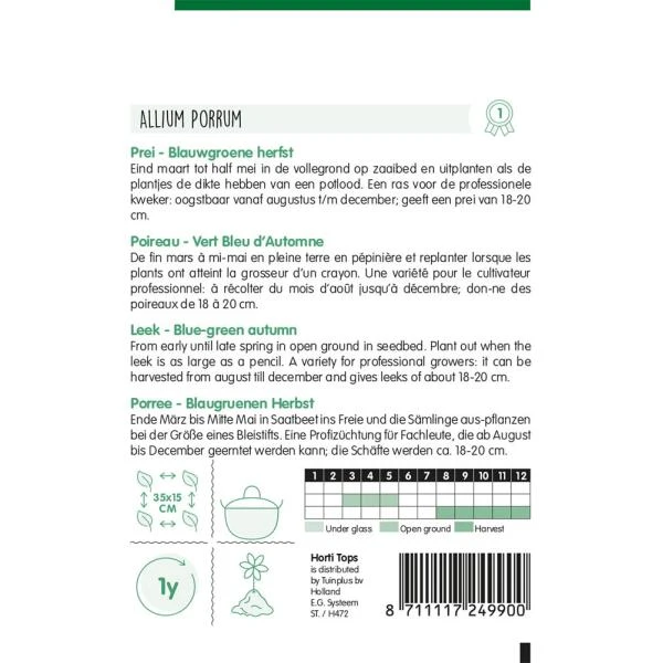 Prei Blauwgroene Herfst Ideal - Allium Porrum 2 Prei Blauwgroene Herfst Ideal - Allium Porrum - Afbeelding 2