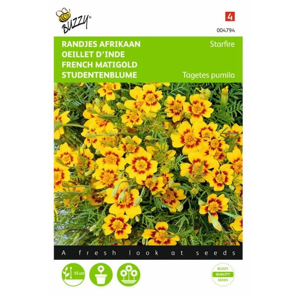 Randjesafrikaan - Tagetes Pumila