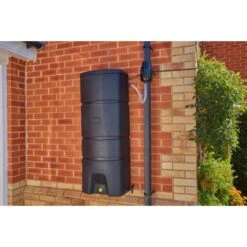 Regenton Muurmodel - 160 Liter 7 Regenton Muurmodel - 160 Liter -Aanbiedingen Groente Zaden Winkel regenton muurmodel 160 liter 1510043135 4 600