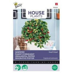 Aanbiedingen Groente Zaden Winkel 6 Sierpeper Dwarf Mixed - Capsicum Annuum