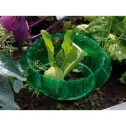 Slakken Beschermringen - Set Van 6 Stuks -Aanbiedingen Groente Zaden Winkel slakken beschermingsringen 1484053655 3 600