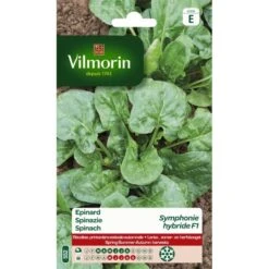 Spinazie Symphonie F1 40 G