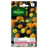 Tagetes Dwerg Gemengd