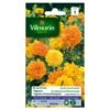 Tagetes Grootbloemig Dubbel Gemengd - Tagetes Erecta