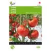 Tomaten St. Pierre - Lycopersicon Esculentum
