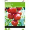 Trostomaten Philippos F1 - Lycopersicon Esculentum