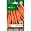 Wortel Boléro F1 - Daucus Carota