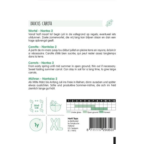 Wortelen Nantes - Daucus Carota 2 Wortelen Nantes - Daucus Carota - Afbeelding 2
