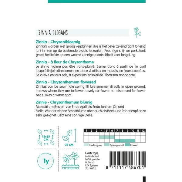 Zinnia Chrysantbloemig - Zinnia Elegans 2 Zinnia Chrysantbloemig - Zinnia Elegans - Afbeelding 2