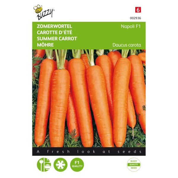 Zomerwortel Napoli F1 - Daucus Carota 1 Zomerwortel Napoli F1 - Daucus Carota
