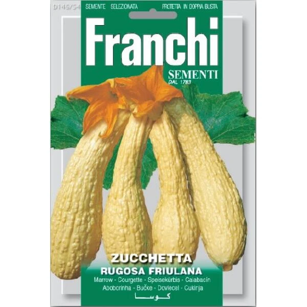 Zuchetta Rugosa Friulana - Gele Kalebas 1 Zuchetta Rugosa Friulana - Gele Kalebas